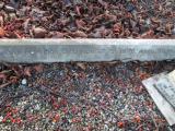 image of grave number 368833